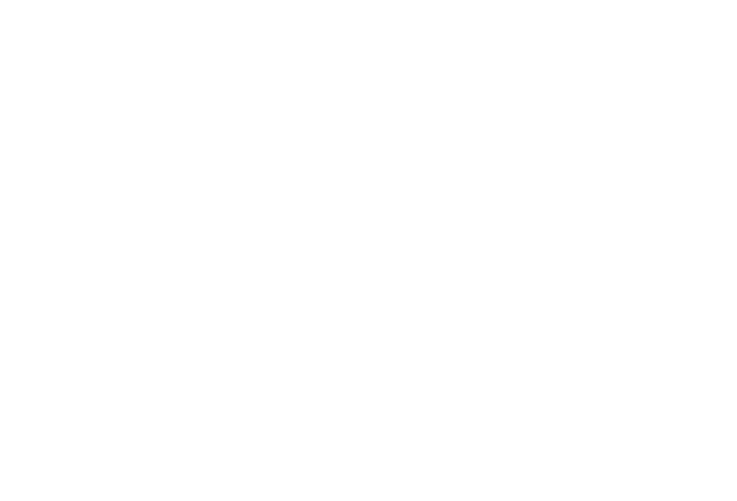 Logo Batical Transparent